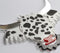 Cooella de Veal - Dalmation Inspired Highland Cow Necklace or Brooch