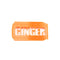 Ginger 'Bru' badge, brooch