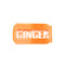 Ginger 'Bru' badge, brooch